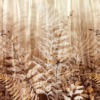 Plantenmotief Fotobehang in herfstkleuren Bruin varenbos - afbeelding nummer 2