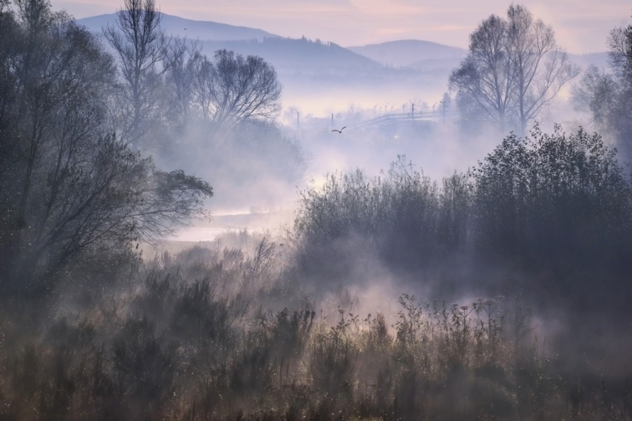 Warm Forest Mist berglandschap Fotobehang voor de woonkamer - afbeelding 2