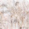 Fototapeta z florystycznym rysunkiem brązową kreską Delikatny Kwiat Irysu - główne zdjęcie produktu