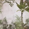Fotobehang van tropische bomen in de mist Exoten achter de mist - afbeelding nummer 2