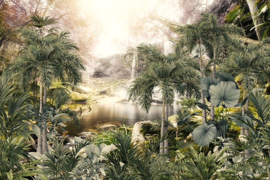 Fotobehang van een exotisch landschap in de mist Magische waterval in een tropische jungle - afbeelding nummer 2