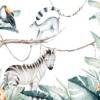 Fototapeta z dzikimi zwierzętami Mała Zebra do pokoju dziecięcego - zdjęcie numer 2