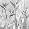 Fototapeta z egzotycznymi kwiatami w odcieniach szarości Monochromatyczne Kwiaty Strelicji - zdjęcie numer 2