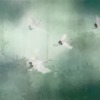 Fotobehang van Japanse vogels op een donkergroene achtergrond Vertrekkende kraanvogels in de mist - afbeelding nummer 2