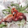Fototapeta ze splecionymi w uścisku egzotycznymi ptakami Para Czerwonych Flamingów do sypialni - zdjęcie numer 2