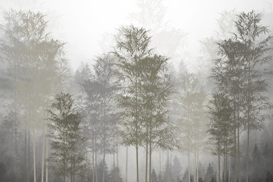 Fotobehang met bomen in grijstinten Slanke bomen in mist - afbeelding 2