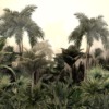 Fotobehang van een paradijselijk landschap in de gloed van de ondergaande zon In de glans van exotische planten voor de slaapkamer - afbeelding nummer 2