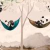 Muurschildering in warme zonsondergangkleuren Vrolijke pandaberen voor kinderkamer - afbeelding 2