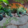 Muurschildering Groene Kameleon