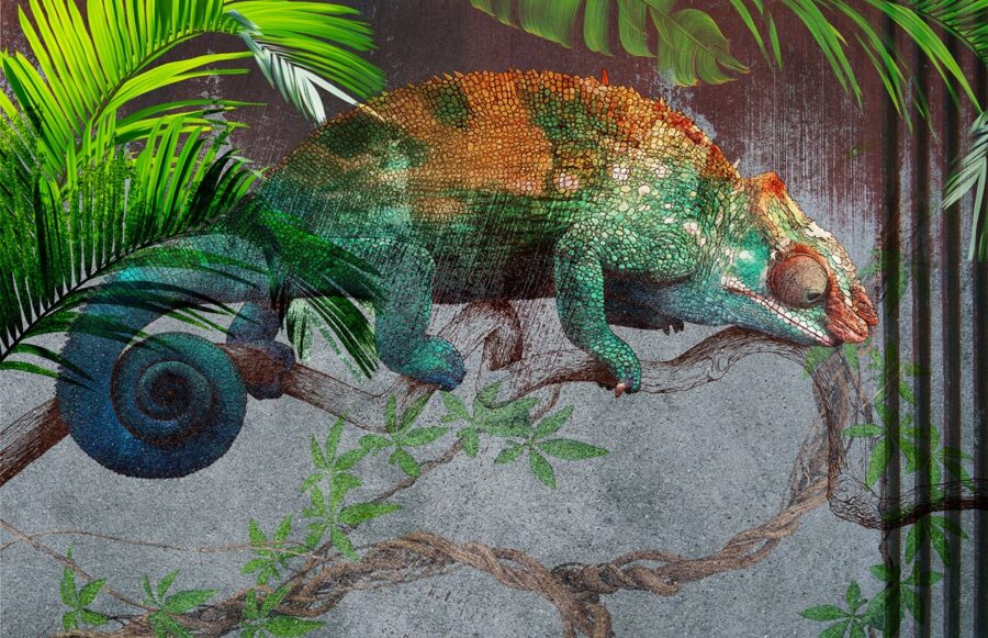 Muurschildering Groene Kameleon
