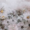 Bloemmotief Fotobehang Bright Bouquet - afbeelding nummer 2