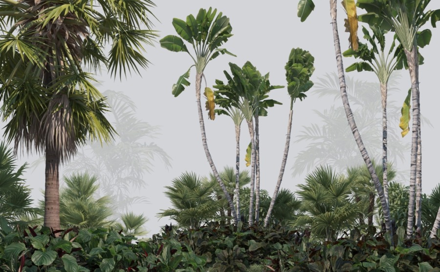 Fotobehang van hoge palmen in mist Tropisch groen en mist - afbeelding nummer 2