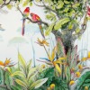 Fotobehang in vrolijke kleuren Rode papegaaien in de jungle - afbeelding nummer 2
