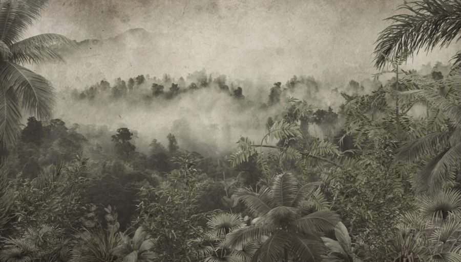 Fotobehang in groen en grijstinten Vallende dichte mist - afbeelding 2