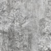 Fototapeta z motywem kwiatowym w jednolitym kolorze Szary Kwiat Na Murze - zdjęcie numer 2