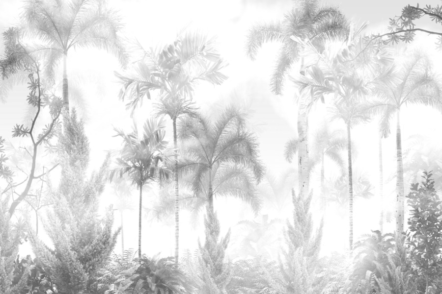 Tropische jungle Fotobehang in mist in witte en grijze tinten Misty Palms - afbeelding nummer 2