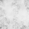Fototapeta z delikatnym motywem roślinnym na murze Niewidoczna Monstera - zdjęcie numer 2