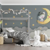 Nachthemel muurschildering in gedempte kleuren Slapende kat op de maan voor kinderkamer - belangrijkste product afbeelding