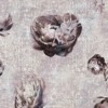 Fototapeta w sepii na niejednorodnym tle Bezbarwne Piwonie - zdjęcie numer 2