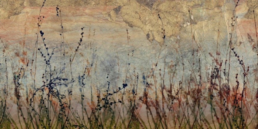 Fotobehang in heterogene tinten met bloemmotief Dark Meadow - afbeelding nummer 2