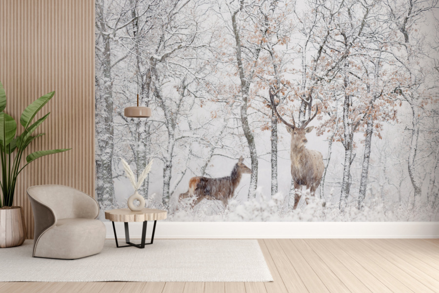 Wildlife Fotobehang in besneeuwde winter Herten in het Witte Woud - belangrijkste product afbeelding