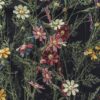 Fotobehang van kleurrijke bloemen op een donkere achtergrond Tuin Bloemenmuur - afbeelding nummer 2