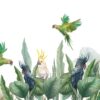 Fotobehang in exotisch groen en grijs Groene papegaaien - afbeelding nummer 2