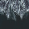 3D-Fotobehang met palmbladmotief in zilver- en zwarttinten Silver Palm - afbeelding nummer 2