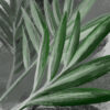 Fotobehang met grote exotische bladeren ideaal voor de woonkamer Green Twigs - afbeelding nummer 2