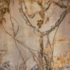 Fotobehang met het thema tropische vegetatie in warme gedempte kleuren Exotic Vines - afbeelding nummer 2
