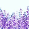 Fotobehang met wilde planten in sterke tinten op een lichte achtergrond Violette planten - afbeelding nummer 2