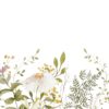Licht getinte Fotobehang met delicaat botanisch motief Kamillebloem - afbeelding nummer 2