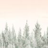 Fotobehang van een winters bos in het licht van de ondergaande zon Orange Sky - afbeelding nummer 2
