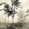 Fotobehang - Panorama van een jungle - Afbeelding 2