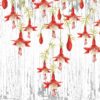 Fotobehang Hangende Rode Bloemen - Afbeelding 2
