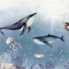 Muurschildering Oceanische wezens - Afbeelding 2