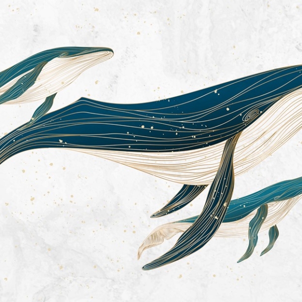 Fotobehang Reis van de walvissen