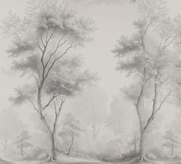 Fotobehang Boswandeling