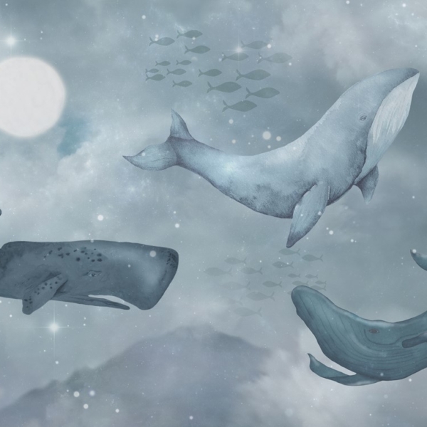 Fotobehang Dans van de walvissen