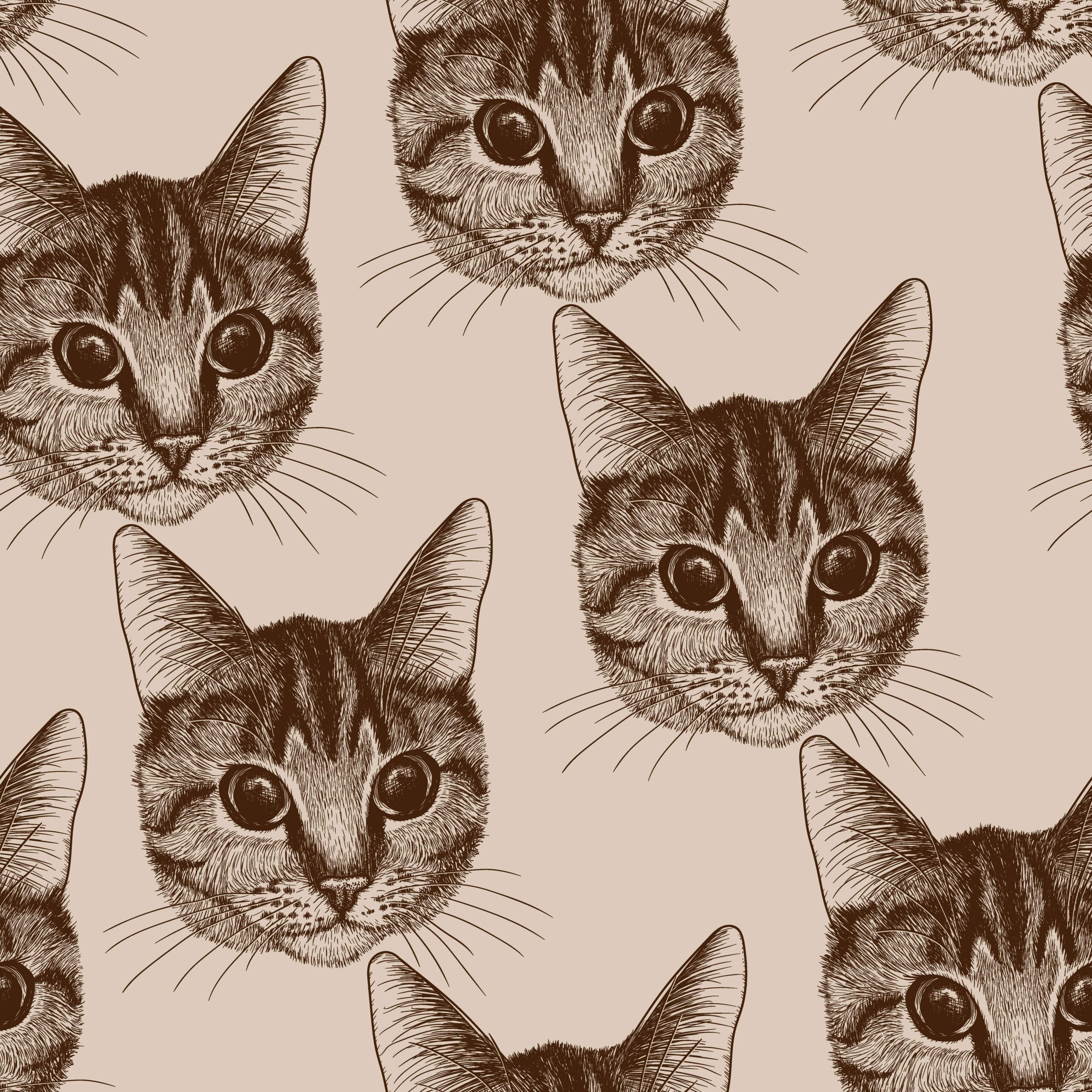 357890614-scaled-1