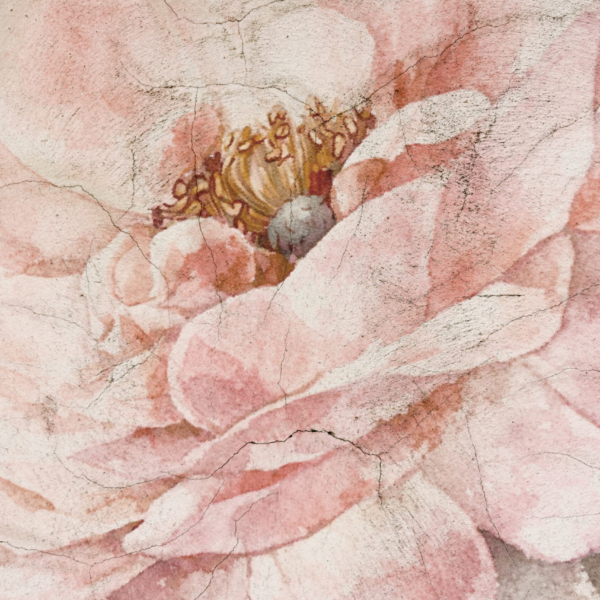 Fotobehang Bloem in de scheuren van de tijd